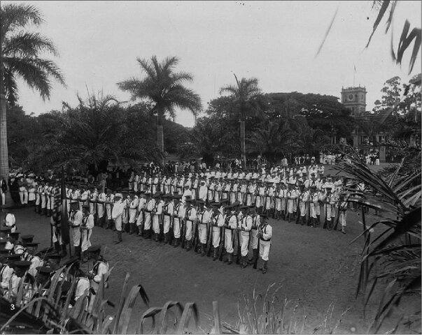 Hawaii's Annexation