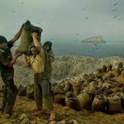 Timeline: LA ERA DEL GUANO