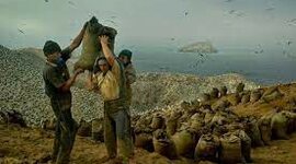 Timeline: LA ERA DEL GUANO