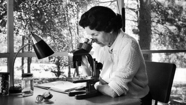 Libro de Rachel Carson's (Presenta una oración emocional para proteger la salud de la humanidad y el medio ambiente preservándolo de los pesticidas químicos)