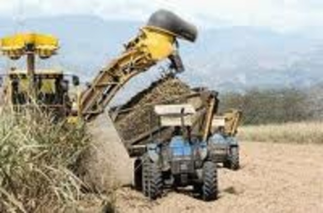 Se crea la Azucarera de Guanacaste