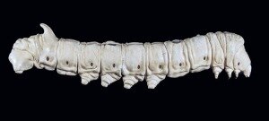 La teoría microbiana - estructura corpuscular