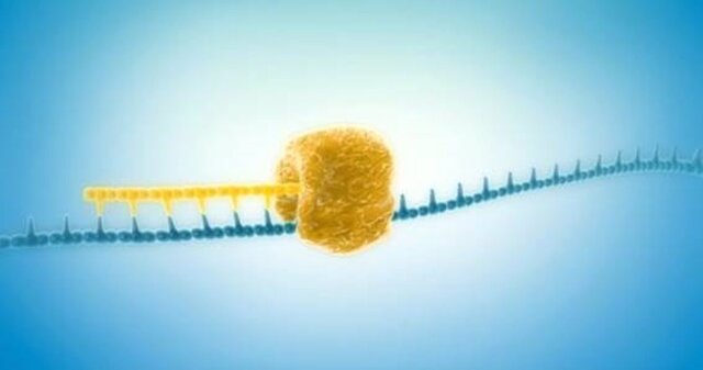 Crean un método capaz de amplificar ADN a partir del genoma de una sola célula