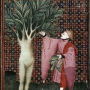 La epidemia de influenza y creencias por la magia negra