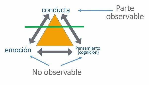 Teoría Cognitiva El modelamiento