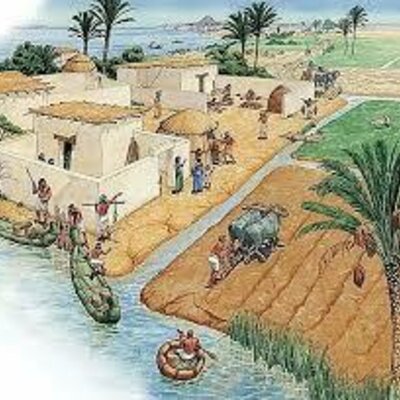 Timeline: Fase 1 Historia  de la Fitopatología y generalidades de la microbiología_Laura Usma