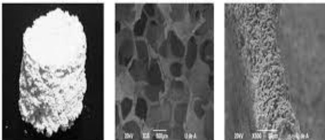 Sociedad de biomateriales