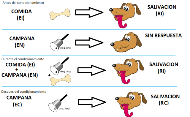 CONDICIONAMIENTO CLÁSICO