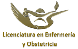 Creación de la Licenciatura en Enfermería y Obstetricia.
