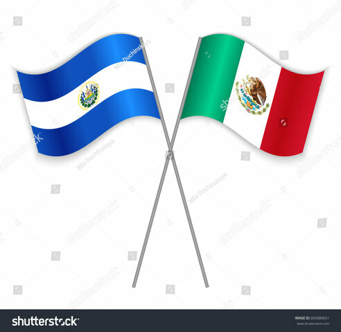 TRATADOS DE LIBRE COMERCIO CON LOS ESTADOS UNIDOS MEXICANOS Y LA REPÚBLICA DE EL SALVADOR&nbsp;