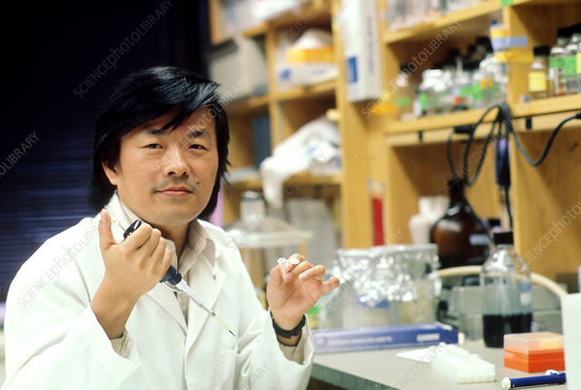 Descubrimiento del principio genético para la generación de diversidad de anticuerpos por Susum Tonegawa