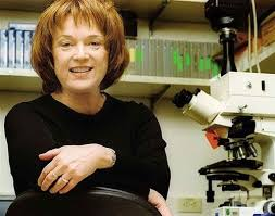 Descubrimiento de los receptores olfativos y la organización del sistema olfativo por Richard Axel y Linda Buck