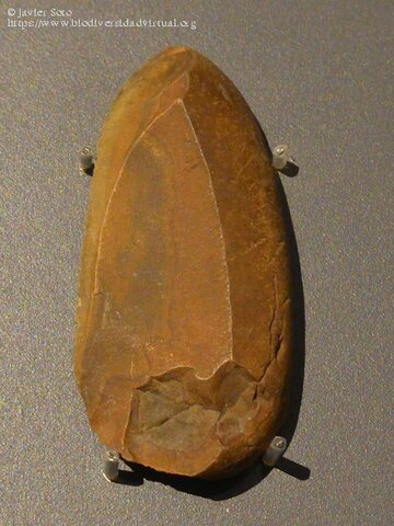 Ganivet de dors natural