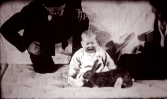 El pequeño Albert. Conductismo