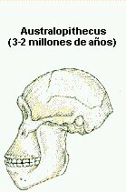 Características físicas y biológicas.