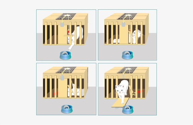 Ley del Efecto. Conductismo