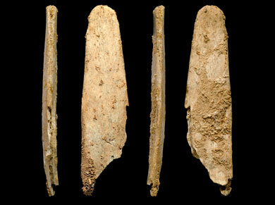 Herramientas Homo neanderthalensis