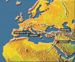 Hábitat Homo antecerssor