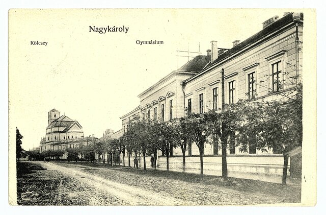 Nagykárolyi piarista gimnázium