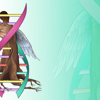 Timeline: Avances biológicos en la segunda mitad del siglo XX