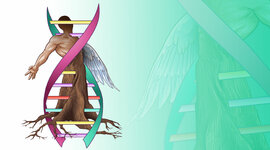 Timeline: Avances biológicos en la segunda mitad del siglo XX