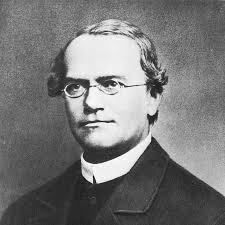Científicos redescubren a Mendel