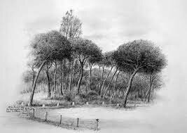 lapices de grafito-alemania