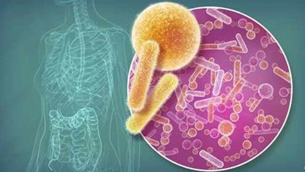 Conexión entre microbio y enfermedad