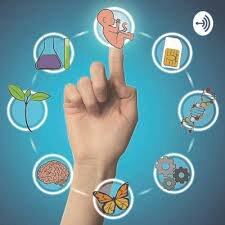 La bioética en la actualidad