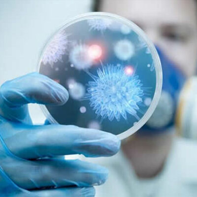 Timeline: Línea del Tiempo de la Profesión de Químico Bacteriólogo Parasitólogo