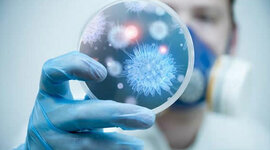 Timeline: Línea del Tiempo de la Profesión de Químico Bacteriólogo Parasitólogo