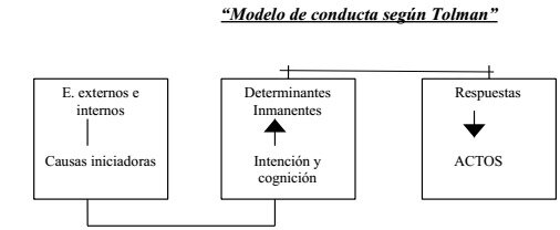 TOLMAN - PROCESOS MOTIVACIONALES