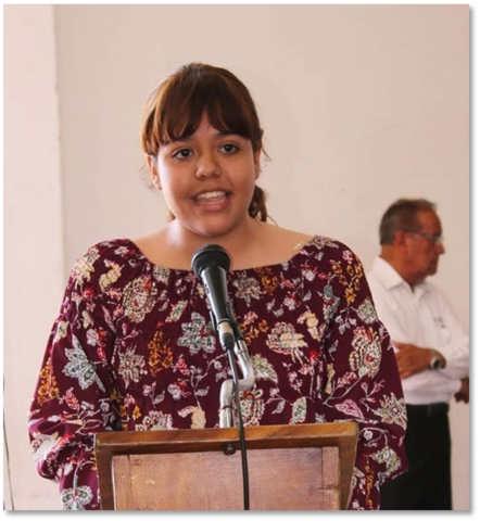 SIPINNA municipal Villa de Álvarez