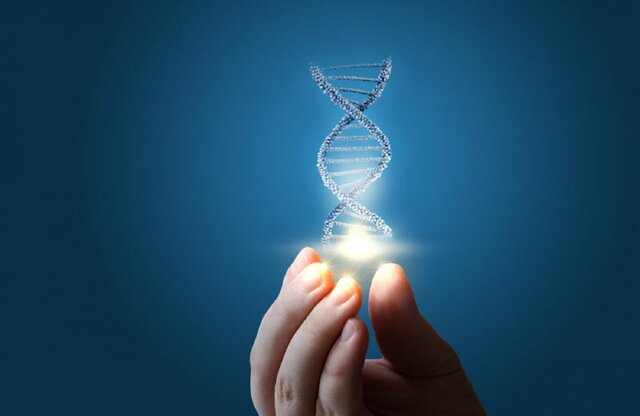Se habla de Biomoralidad por Forti
