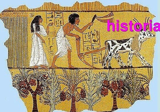 Primeras enfermedades infecciosas de plantas