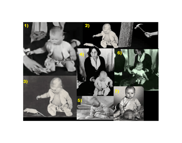 Watson Experimento con el pequeño Albert