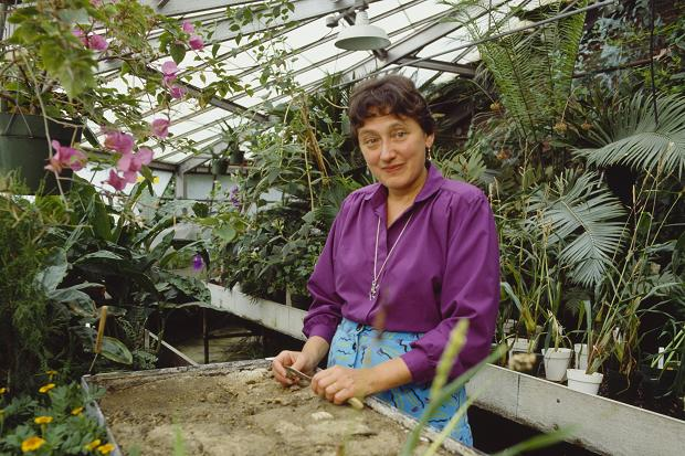 Teoría endosimbiótica