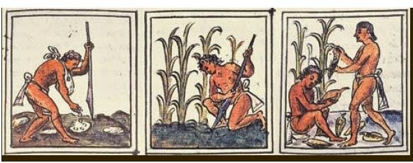 Época prehispánica (10,000 a.C. a 9000 a.C.)