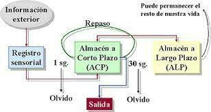 Los niveles de procesamiento de Craik y Lockhart