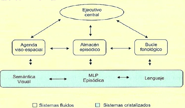 El modelo multicomponente de Baddeley