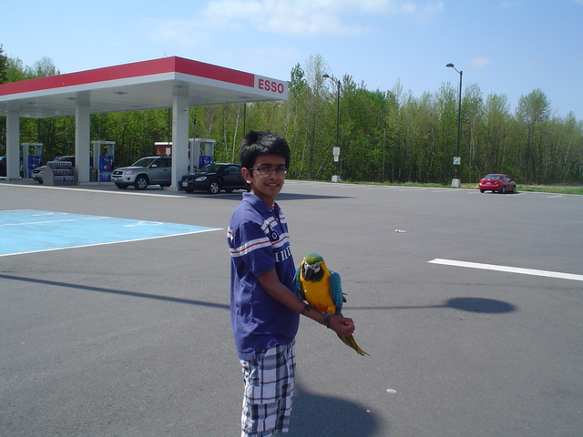 What it's like today!