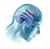 La neuropsicología cognoscitiva