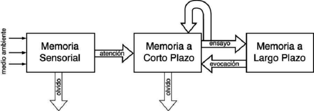 Modelo Atkinson y Shiffrin. TDPI