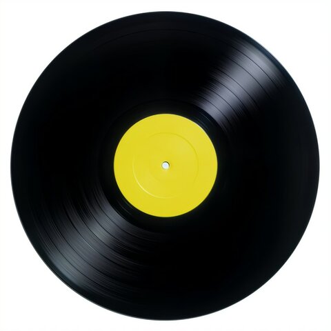 Le vinyle