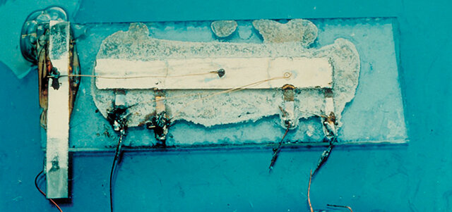 PRIMER CIRCUIT INTEGRAT