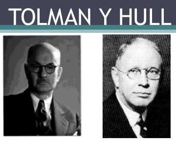 TOLMAN Y HONZIK