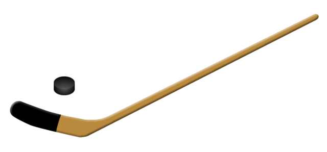 First Hockey Stick