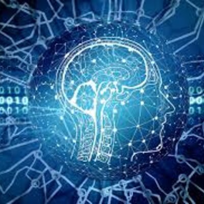 Timeline: La evolución del ser humano