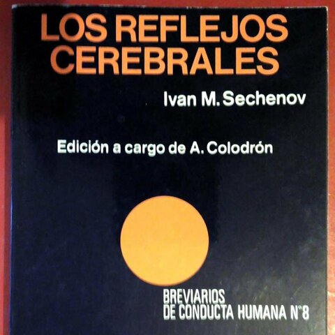 Obra: Los reflejos del cerebro