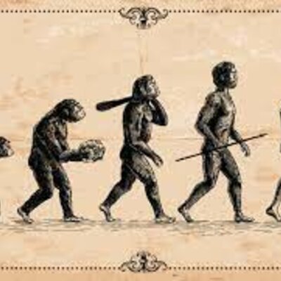 Timeline: Evolución humana